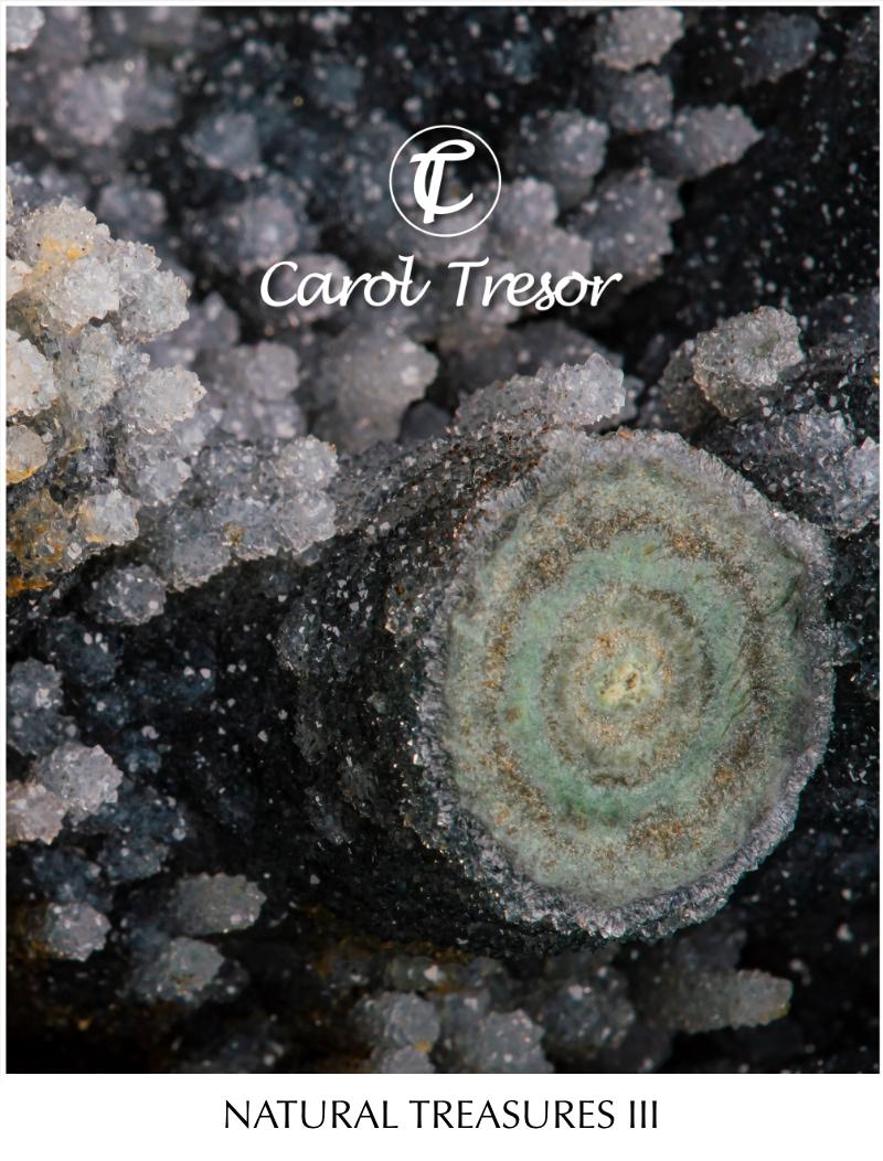natural treasures catalogue 3