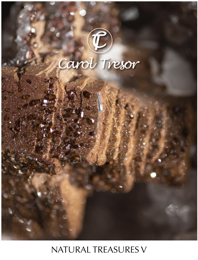 natural treasures catalogue 5