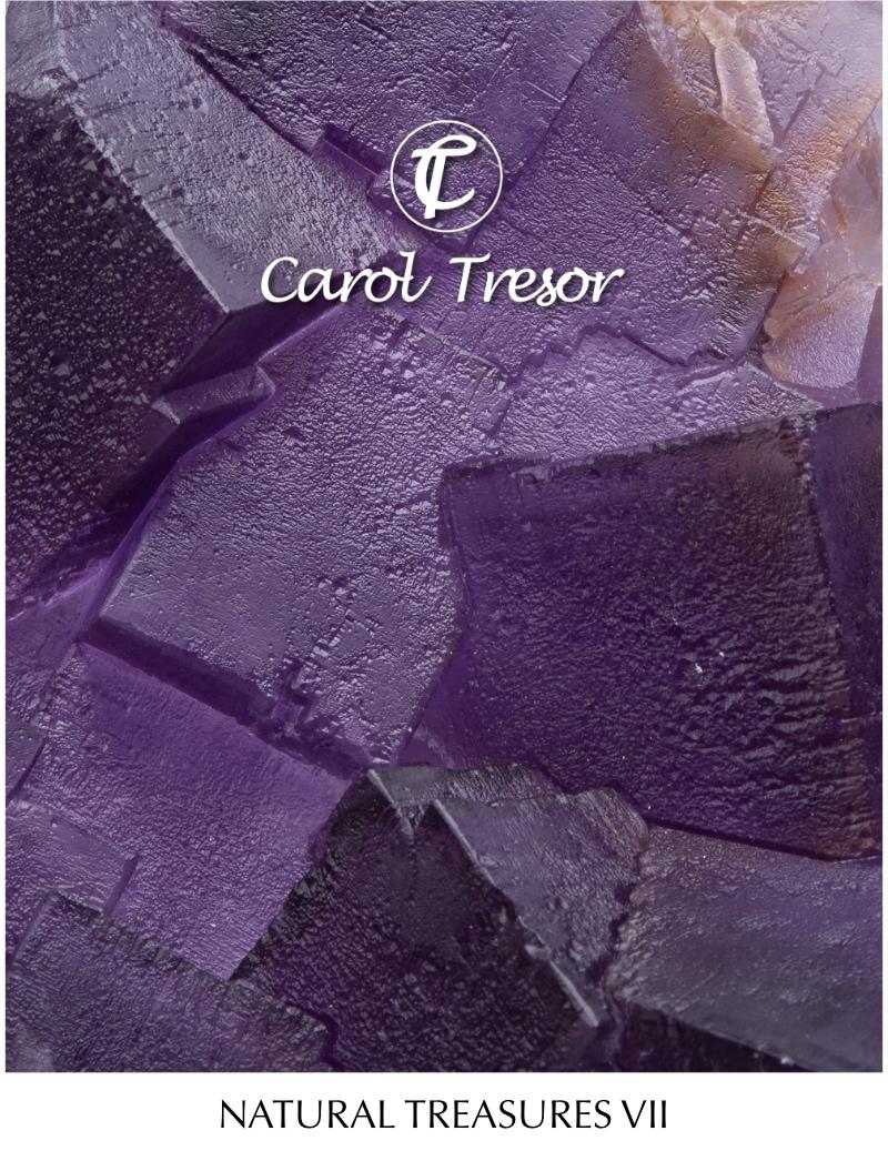 Natural Treasures Catalogue 7