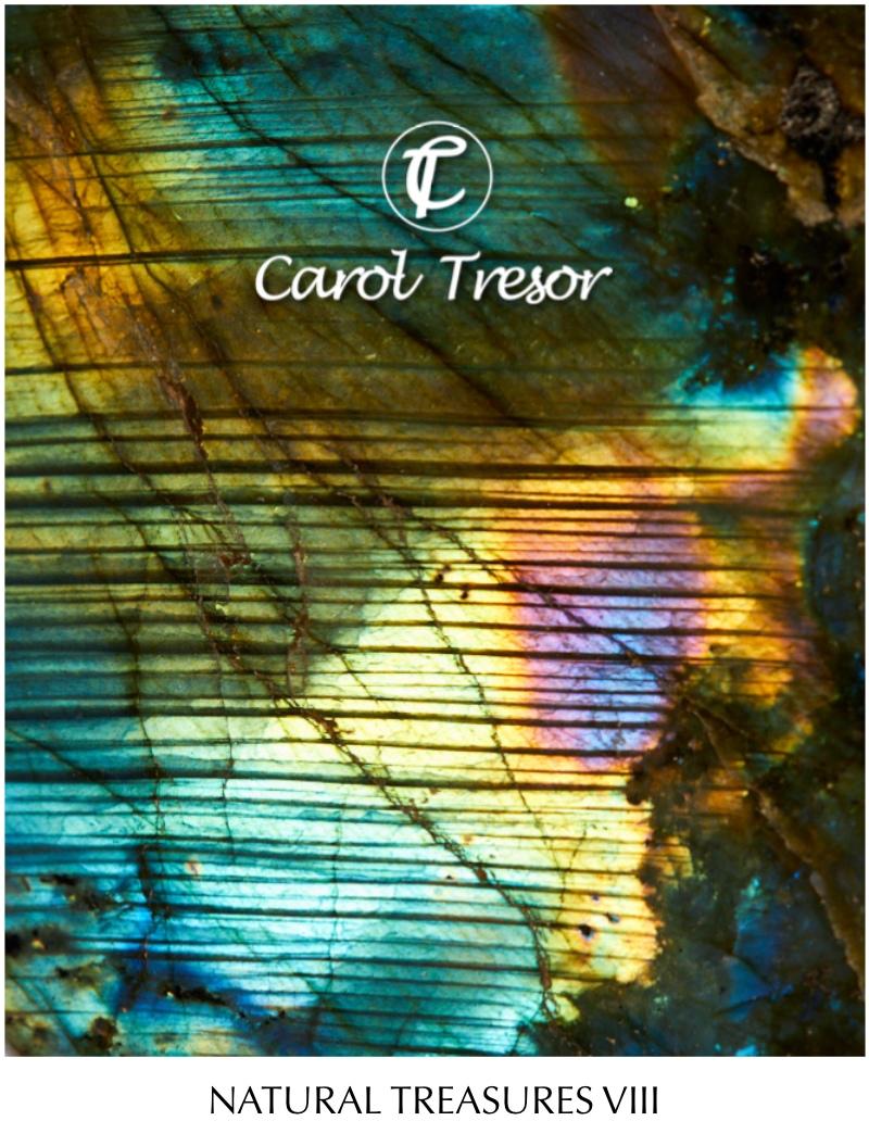 Natural Treasures Catalogue 8