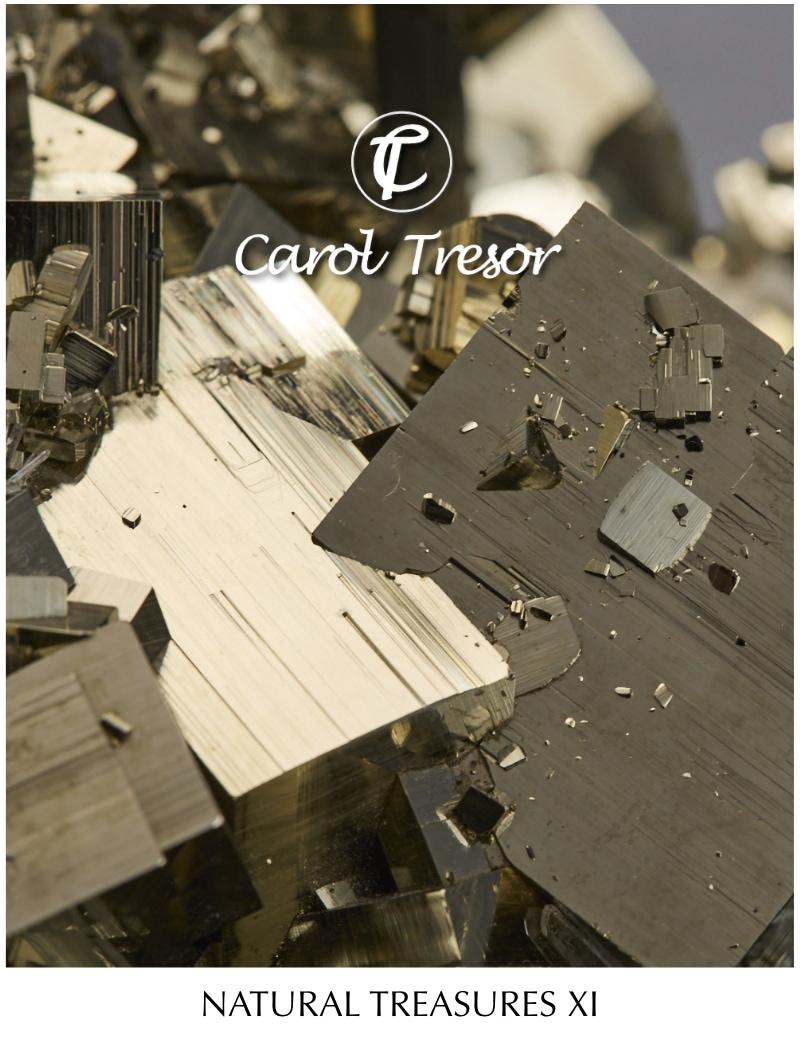 natural treasures catalogue XI